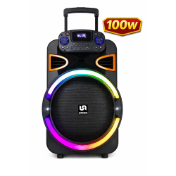 Union PartyBox 100W 15" Trolley